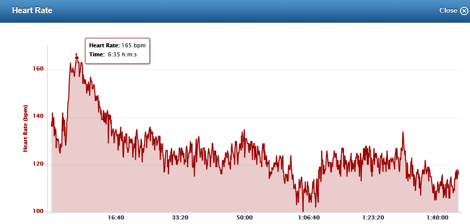 heartrate